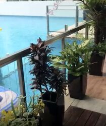 The Stellar (D5), Condominium #502862721